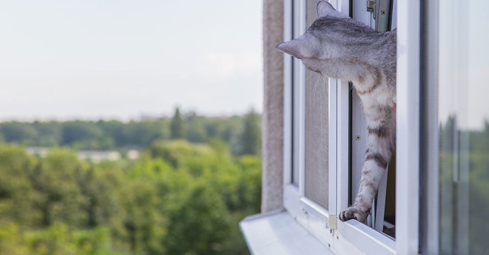 Trixie Schutzgitter für Kippfenster, Katze, Bestel